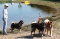 ganderkesee (11)